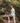 Women's Bike Shorts - Tourmaline